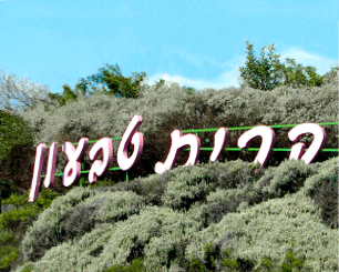 טבעון